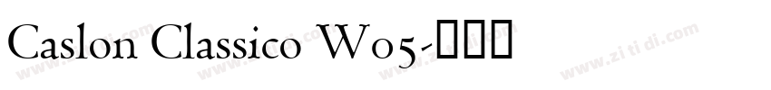 Caslon Classico W05字体转换